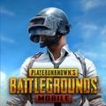 pubg体验服 正版